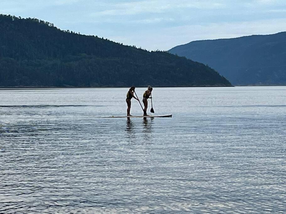 Appartement Mont Edouard, Hebergement Paisible A La Montagne LʼAnse-Saint-Jean Eksteriør bilde