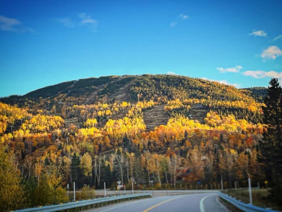 Appartement Mont Edouard, Hebergement Paisible A La Montagne LʼAnse-Saint-Jean Eksteriør bilde