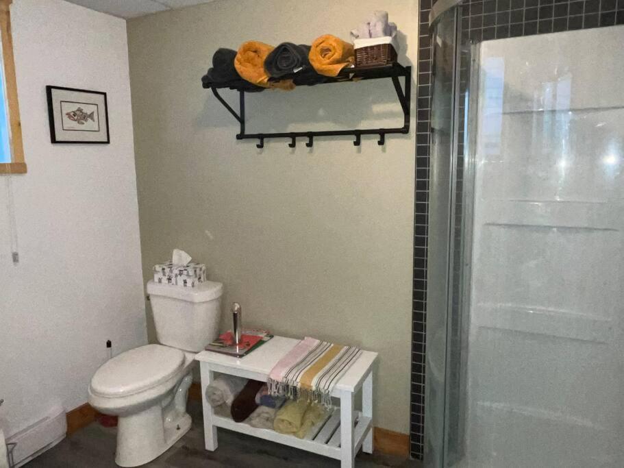 Appartement Mont Edouard, Hebergement Paisible A La Montagne LʼAnse-Saint-Jean Eksteriør bilde