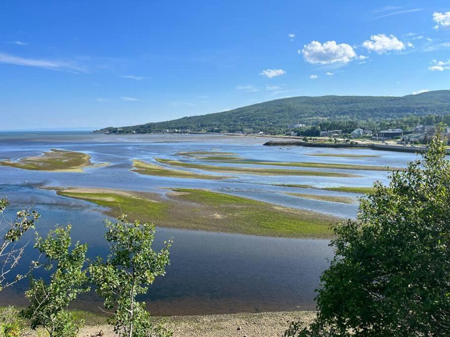 Appartement Mont Edouard, Hebergement Paisible A La Montagne LʼAnse-Saint-Jean Eksteriør bilde